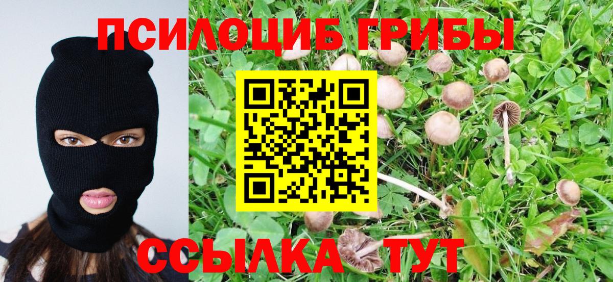 Галлюциногенные грибы Cubensis Похвистнево