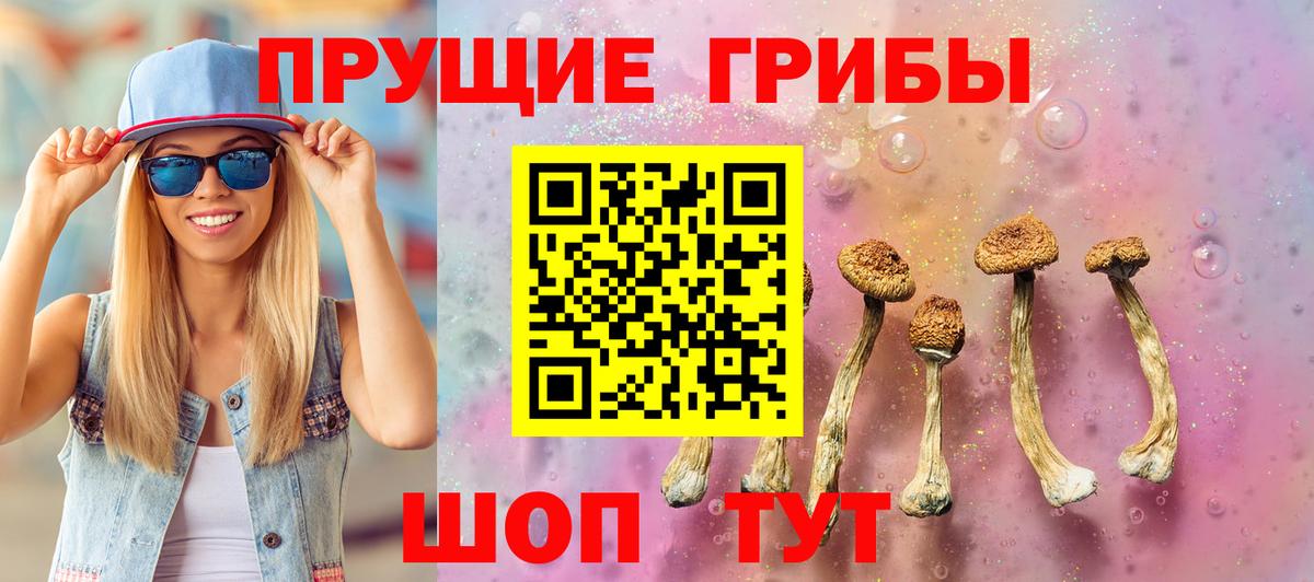 Галлюциногенные грибы MAGIC MUSHROOMS  Вход с VPN  Похвистнево 